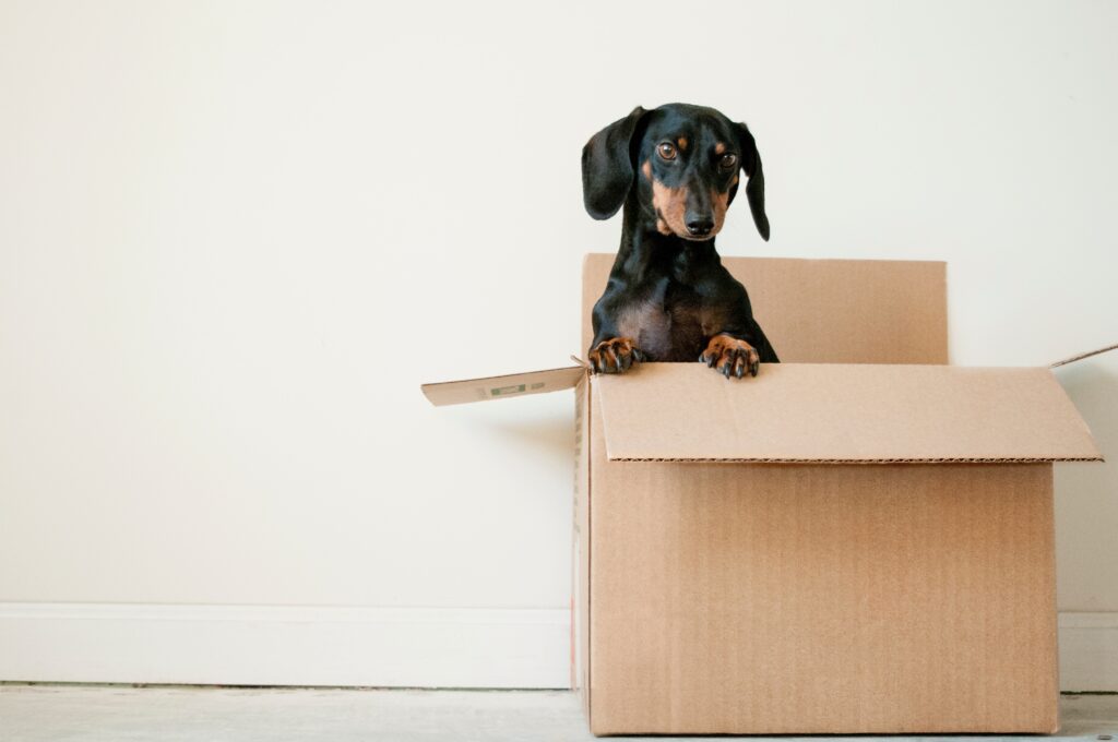 Cardboard box